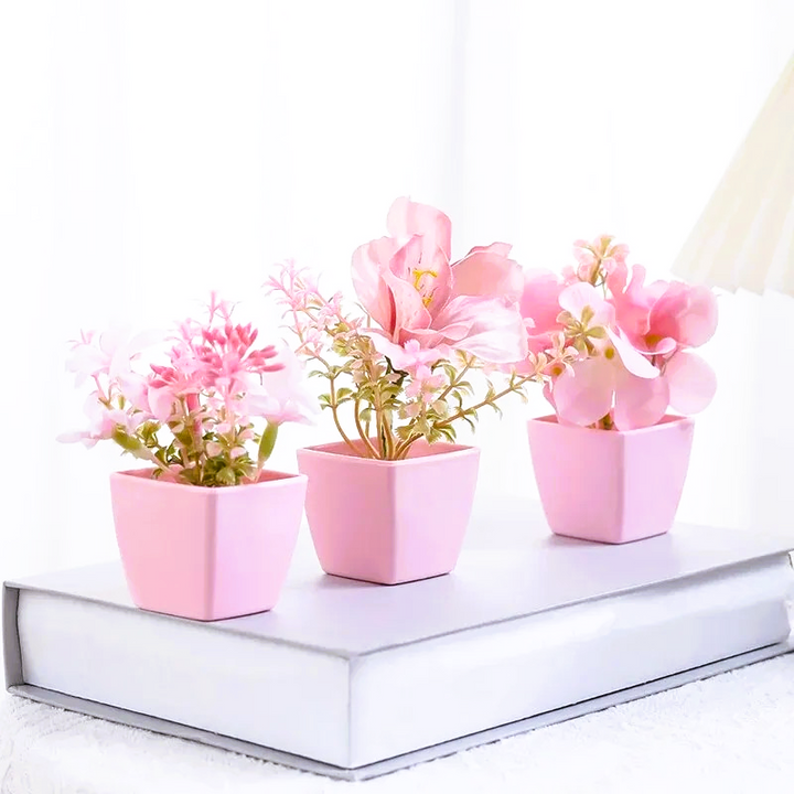 Nord Pretty in Pink 3pc Set