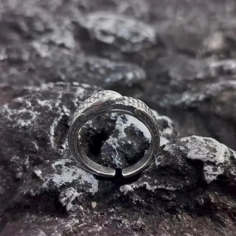 Nord Vördr Ring