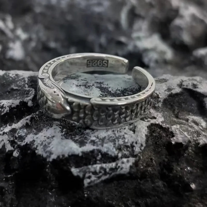 Nord Vördr Ring
