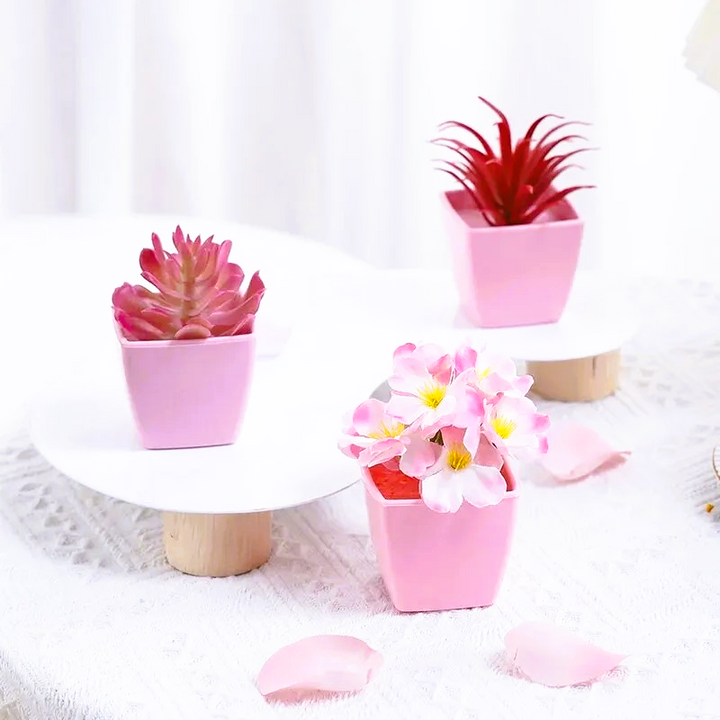 Nord Pretty in Pink 3pc Set