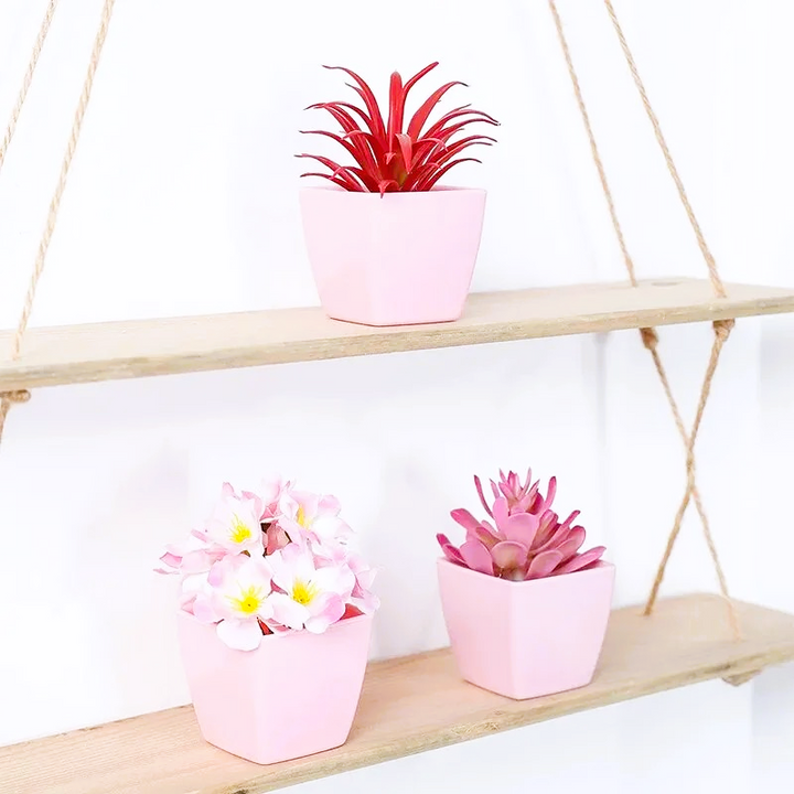 Nord Pretty in Pink 3pc Set