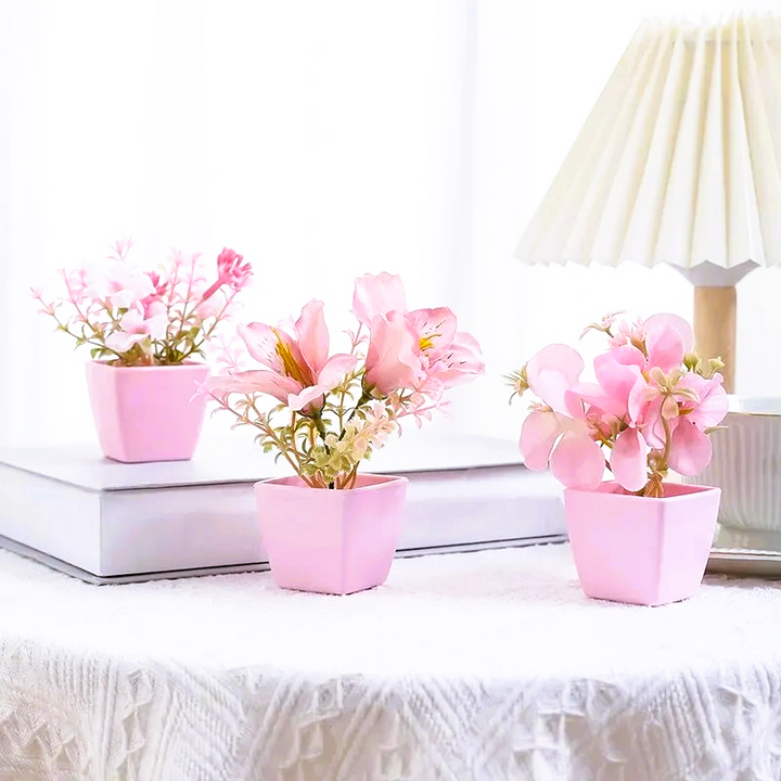 Nord Pretty in Pink 3pc Set