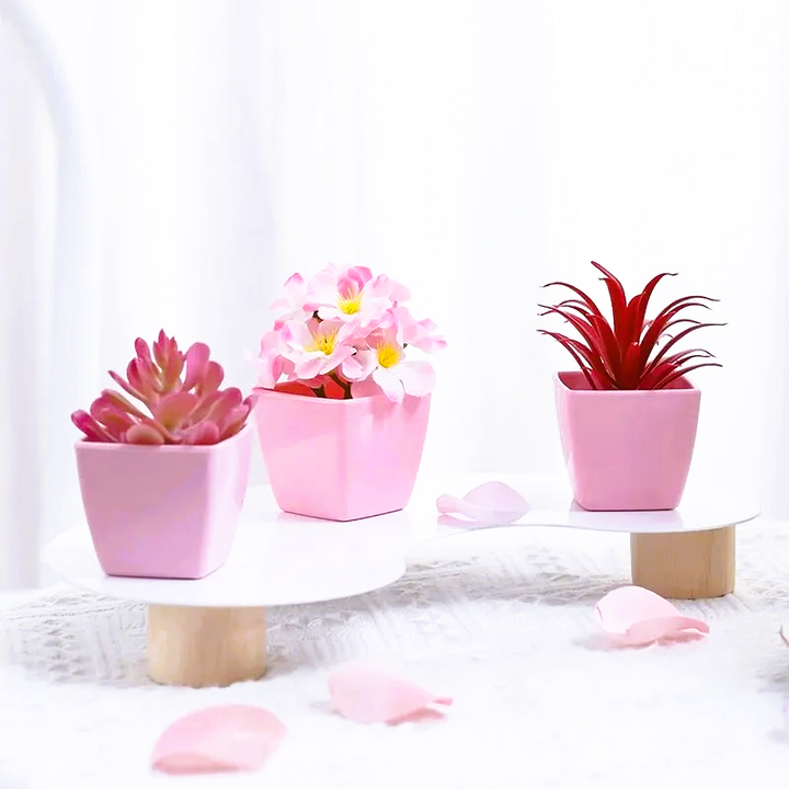 Nord Pretty in Pink 3pc Set