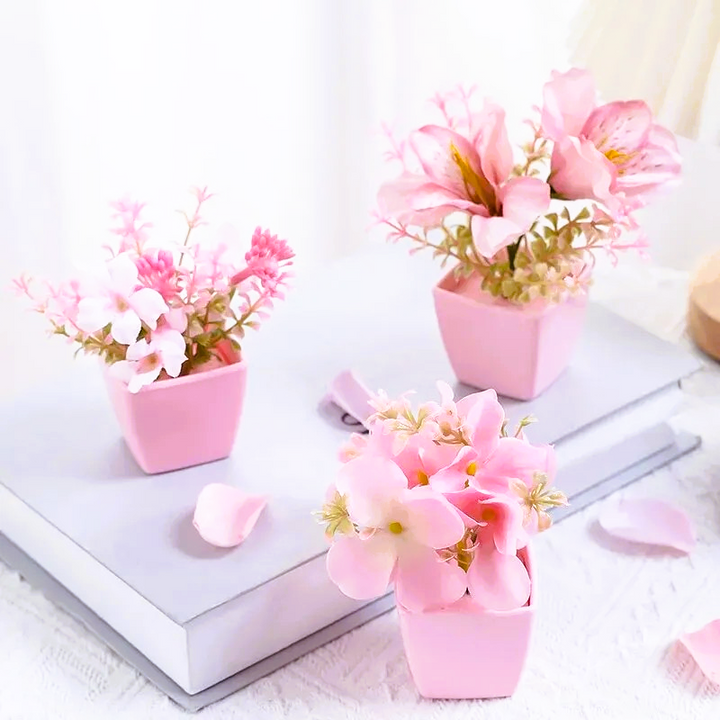 Nord Pretty in Pink 3pc Set
