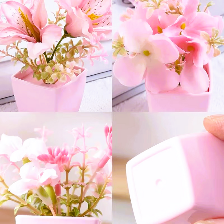 Nord Pretty in Pink 3pc Set